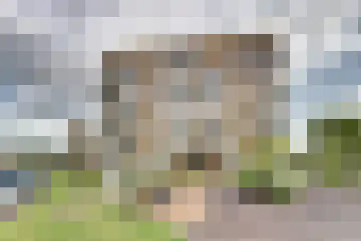 Troelstralaan 92 Goes thumbnail 29