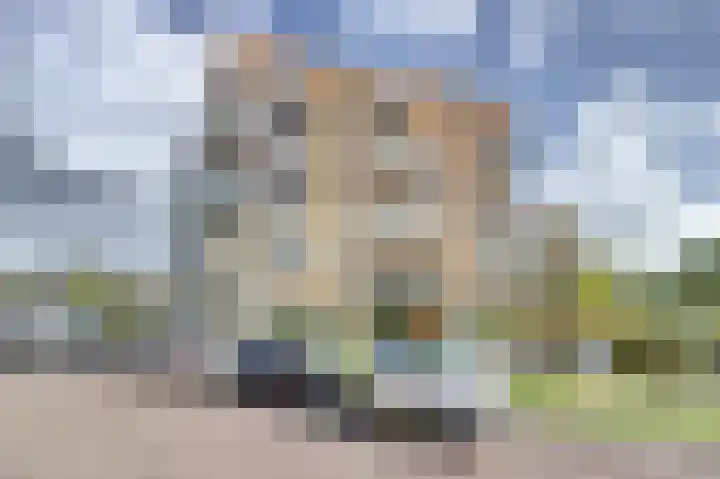 Troelstralaan 92 Goes thumbnail 30