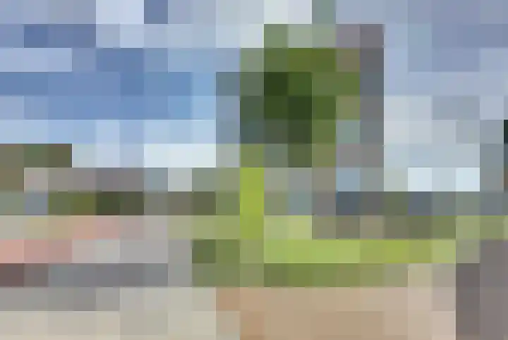 Troelstralaan 92 Goes thumbnail 31