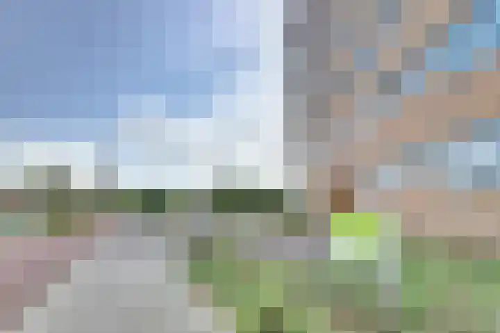 Troelstralaan 92 Goes thumbnail 32