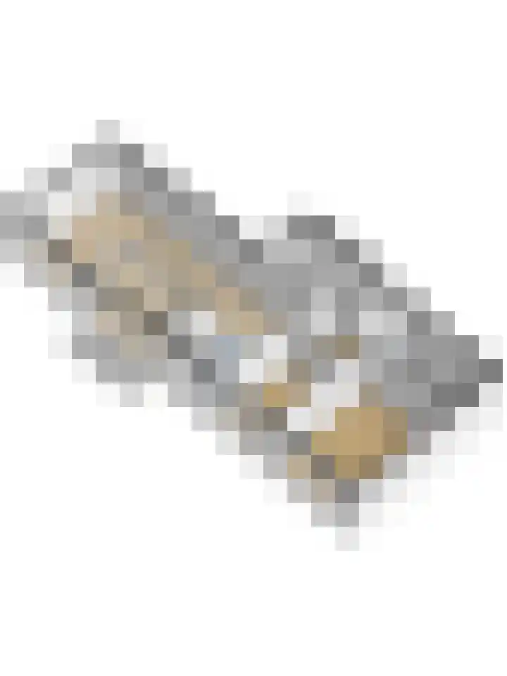 Troelstralaan 92 Goes thumbnail 36