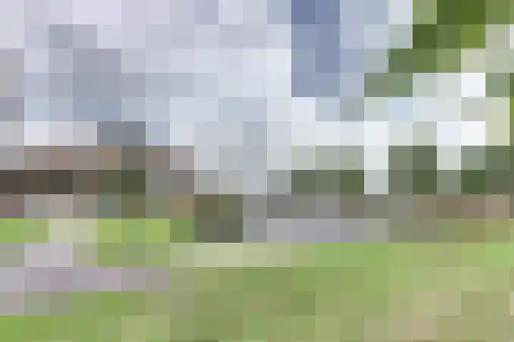 Troelstralaan 92 Goes thumbnail 4