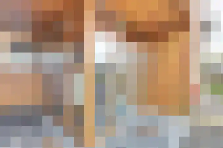 Troelstralaan 92 Goes thumbnail 6