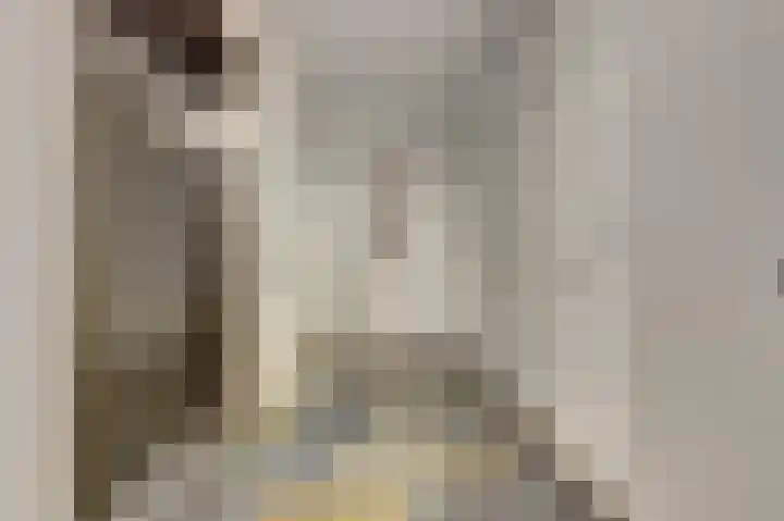Troelstralaan 92 Goes thumbnail 7