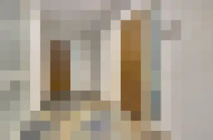 Troelstralaan 92 Goes thumbnail 8