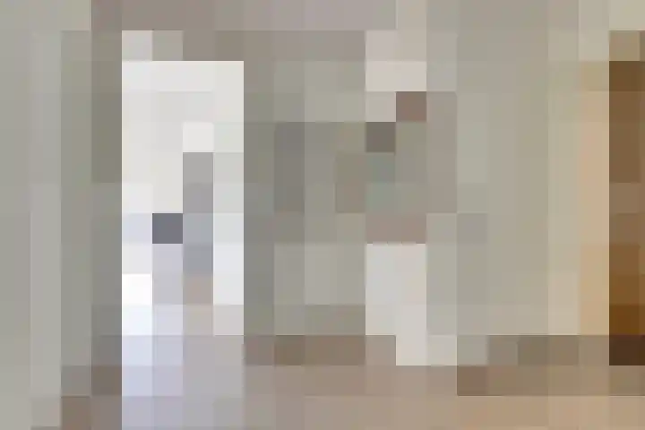 Troelstralaan 92 Goes thumbnail 9