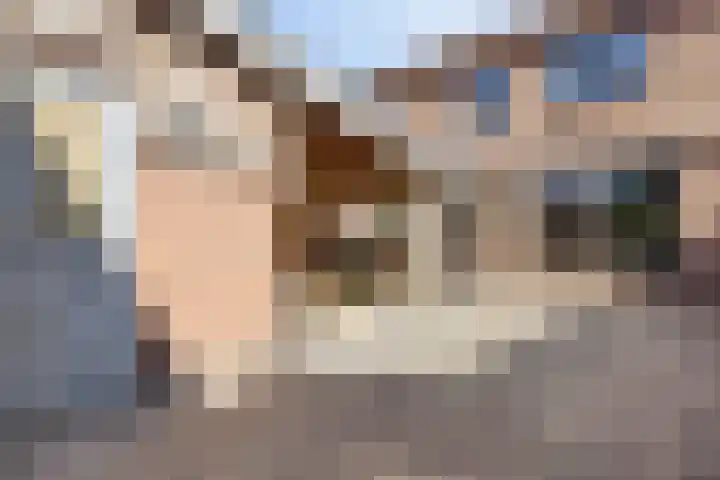 Troelstralaan 96 Zutphen thumbnail 24