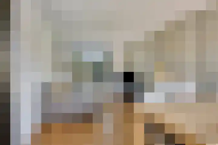 Troelstralaan 96 Zutphen thumbnail 4