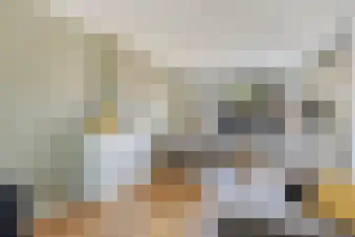Troelstralaan 96 Zutphen thumbnail 6