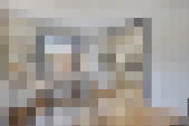 Troelstralaan 96 Zutphen thumbnail 7