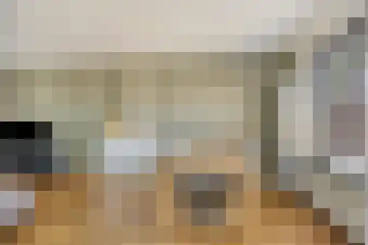 Troelstralaan 96 Zutphen thumbnail 8