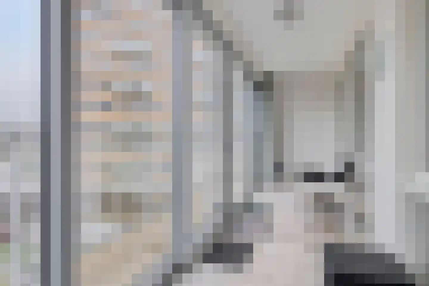 Troelstralaan 98 Goes thumbnail 21
