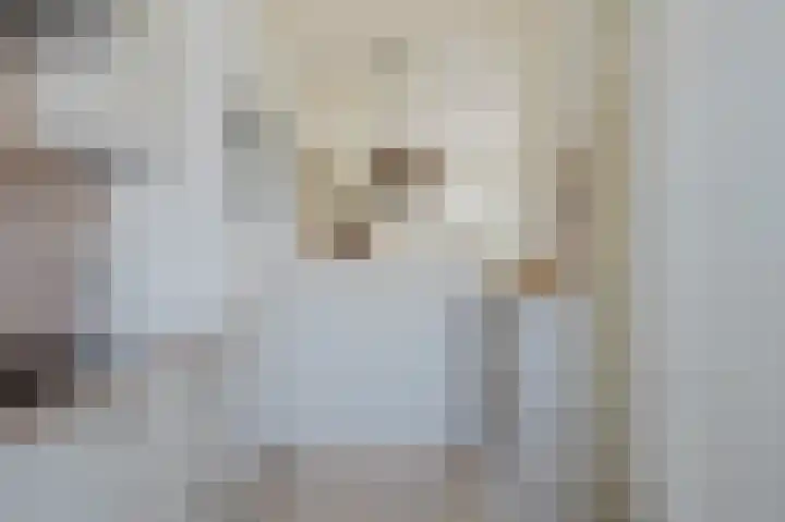 Troelstrapad 11 Spijkenisse thumbnail 14