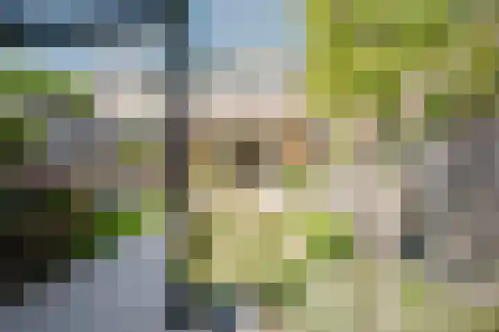 Troelstrapad 11 Spijkenisse thumbnail 16