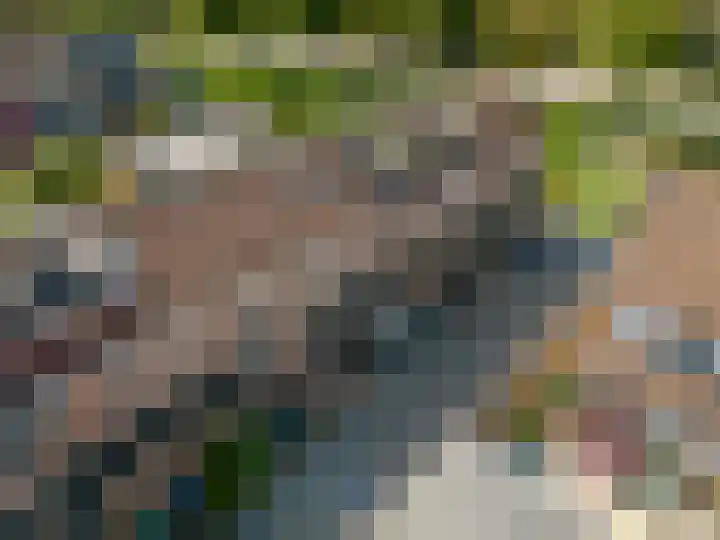 Troelstrapad 11 Spijkenisse thumbnail 7