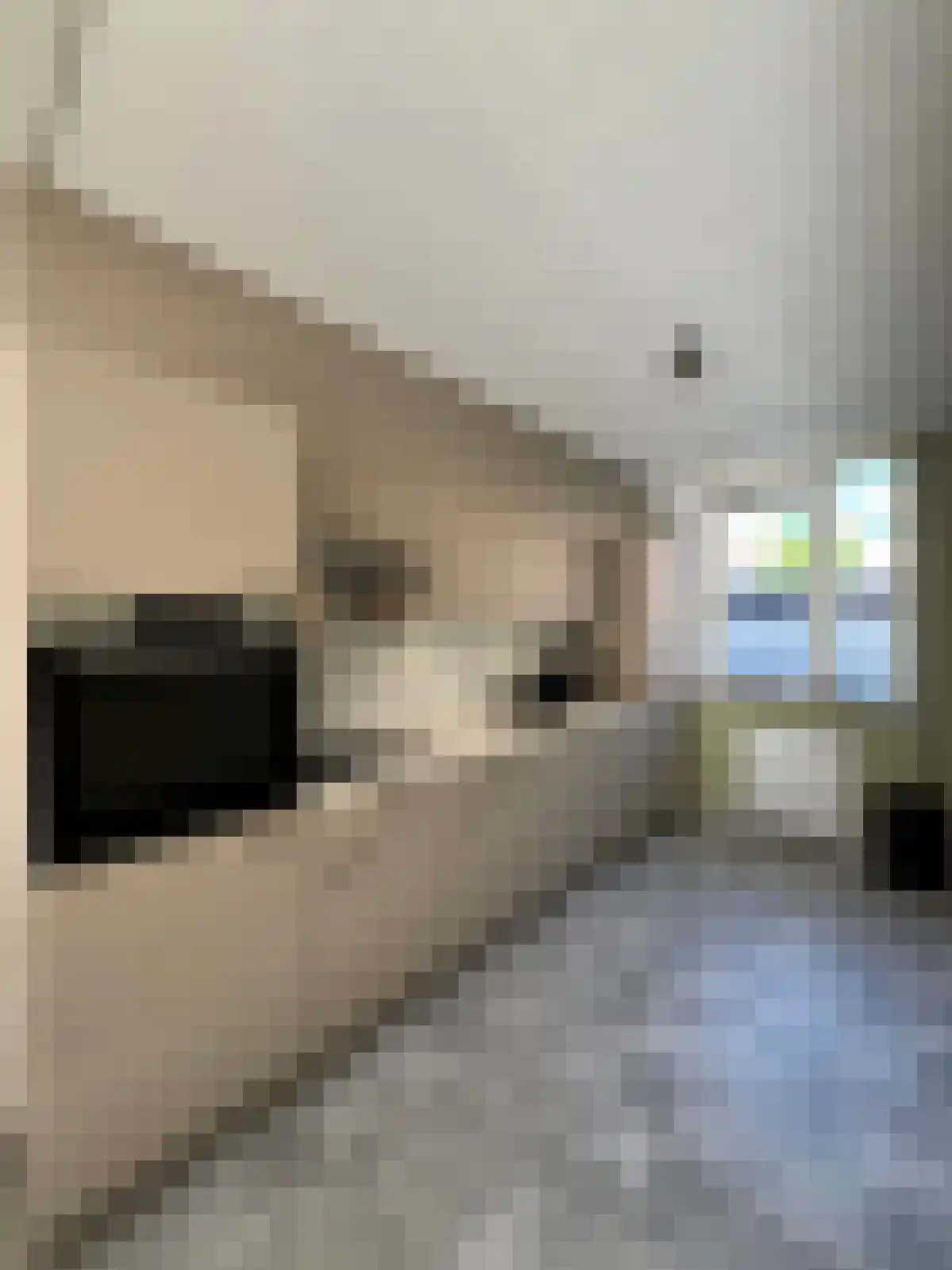 Troelstrapad 9 Spijkenisse thumbnail 4