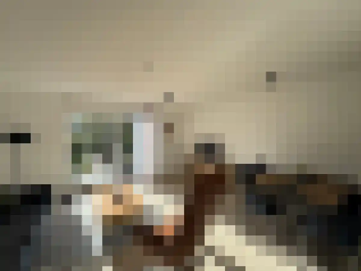 Troelstrapad 9 Spijkenisse thumbnail 6