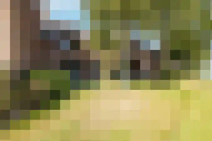 Troelstraplein 11 Leiden thumbnail 25