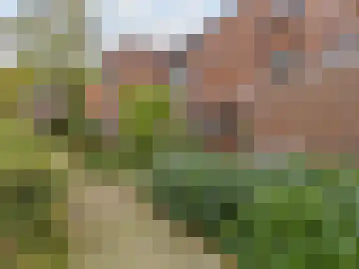 Troelstraplein 11 Leiden thumbnail 31