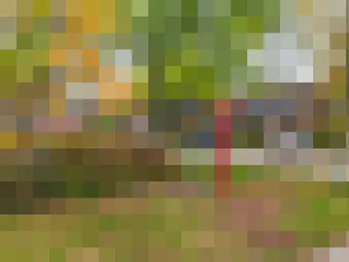 Troelstraplein 11 Leiden thumbnail 37