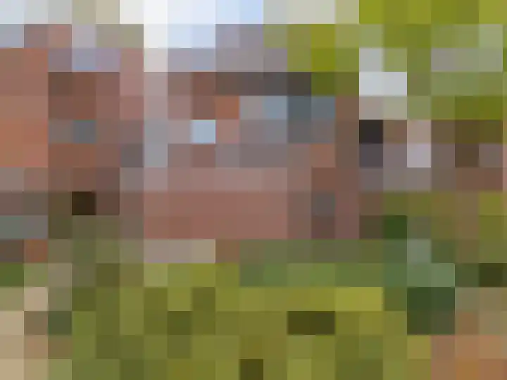 Troelstraplein 11 Leiden thumbnail 4