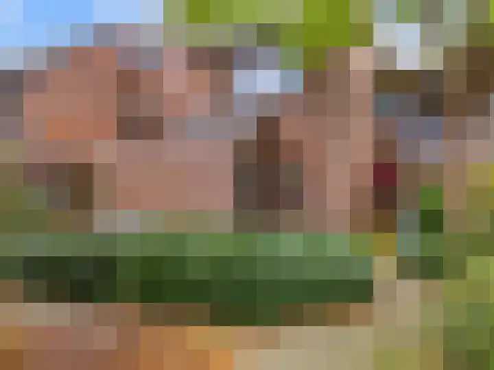 Troelstraplein 11 Leiden thumbnail 5