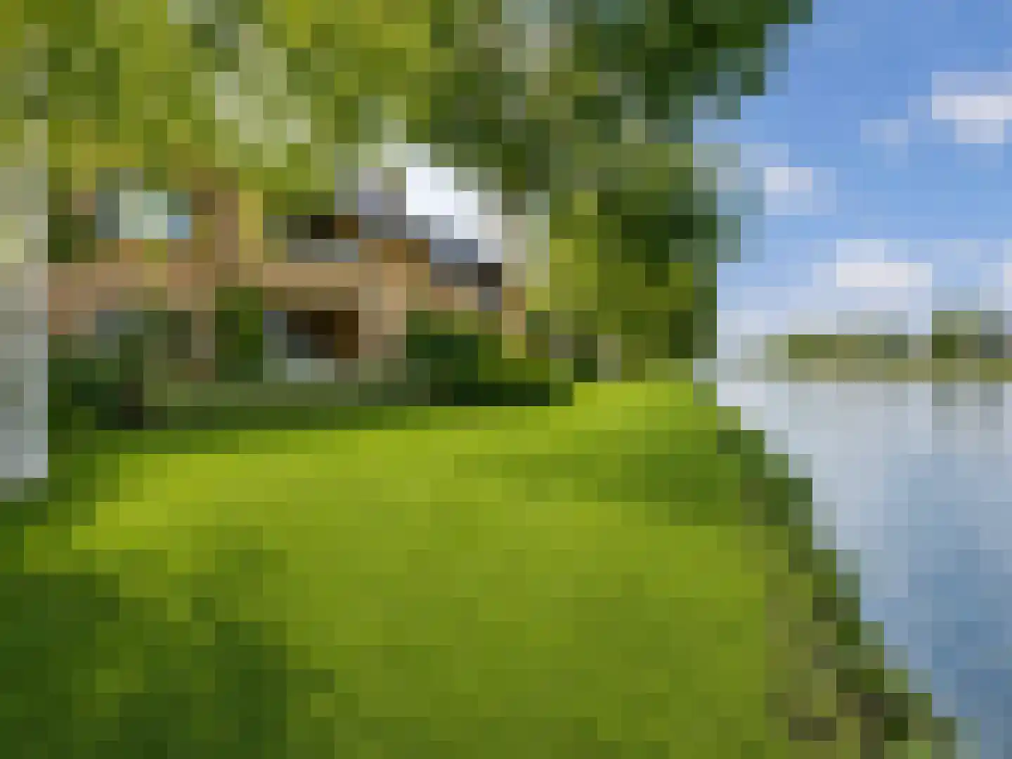 Troelstraplein 16 Leiden thumbnail 7