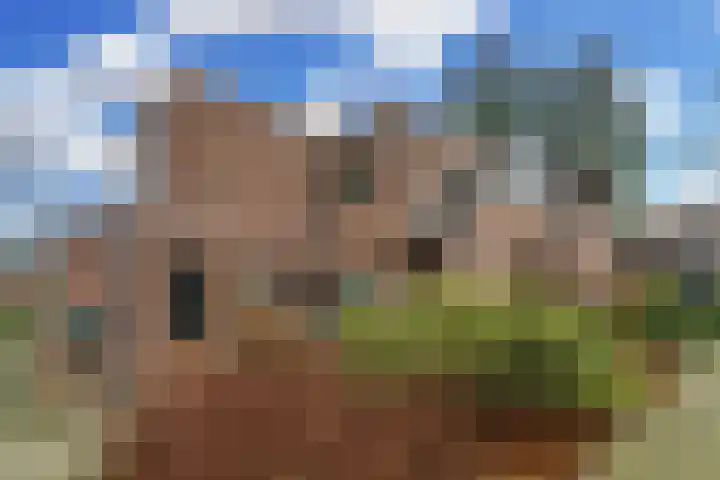 Troelstraplein 18 Leiden thumbnail 7