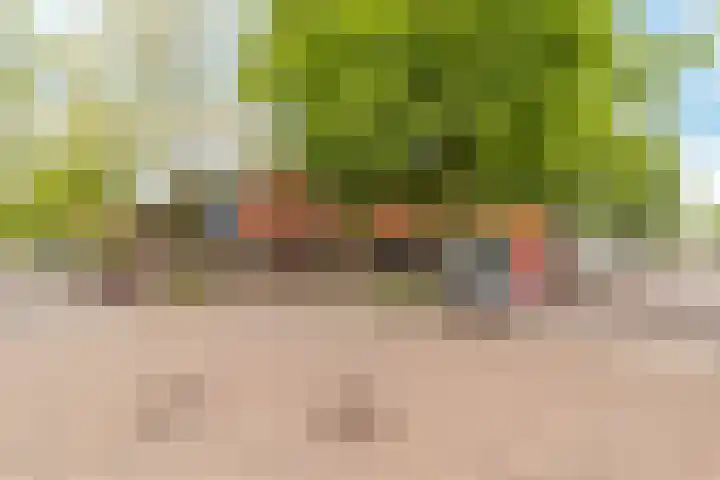 Troelstraplein 37 Koog aan de Zaan thumbnail 26