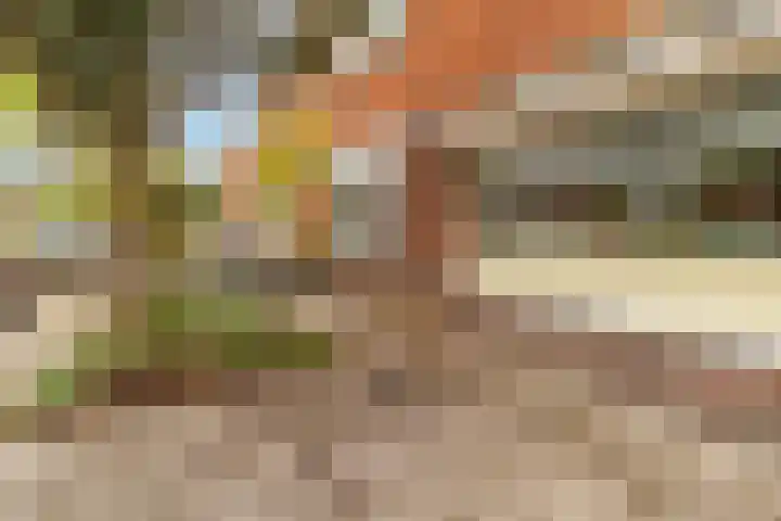 Troelstraplein 37 Koog aan de Zaan thumbnail 27