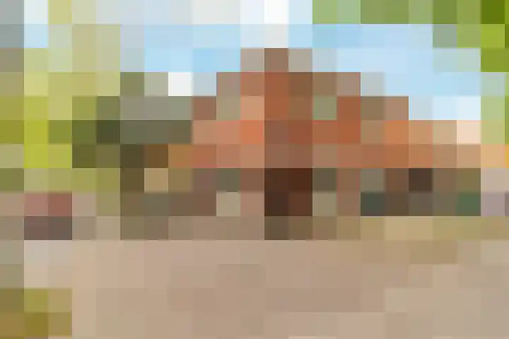 Troelstraplein 37 Koog aan de Zaan thumbnail 33