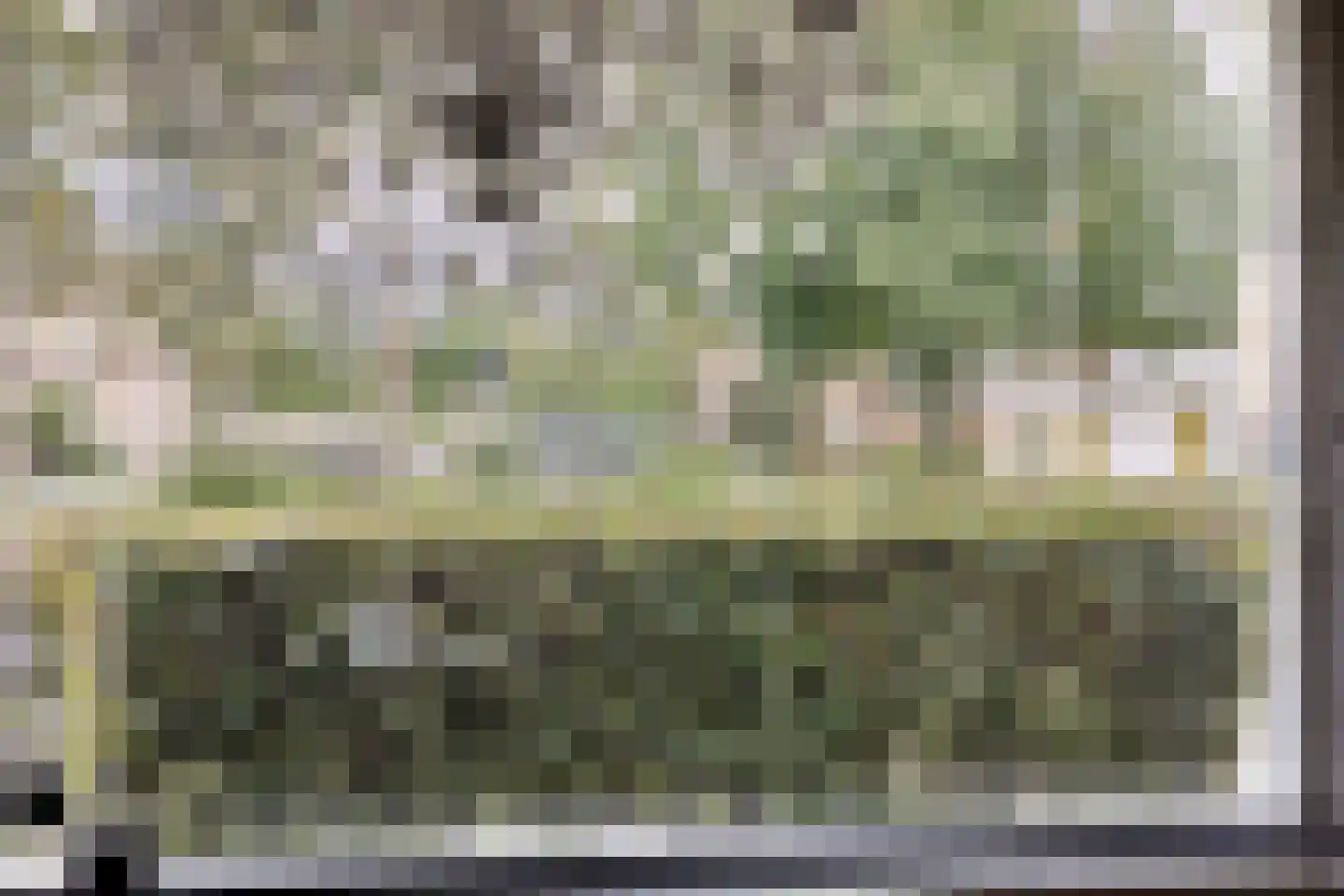 Troelstraplein 64 Meppel thumbnail 10