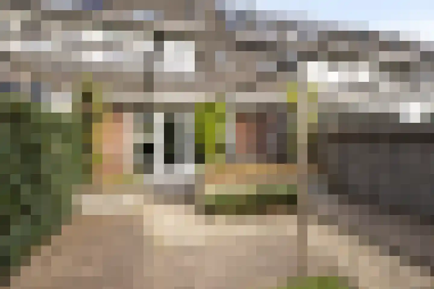 Troelstraplein 64 Meppel thumbnail 35
