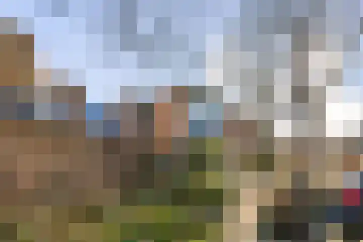 Troelstraplein 8 Leiden thumbnail 19