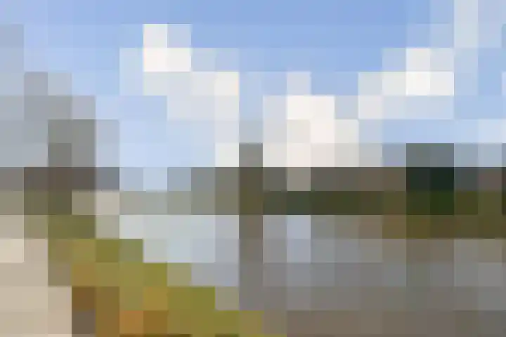 Troelstraplein 8 Leiden thumbnail 23