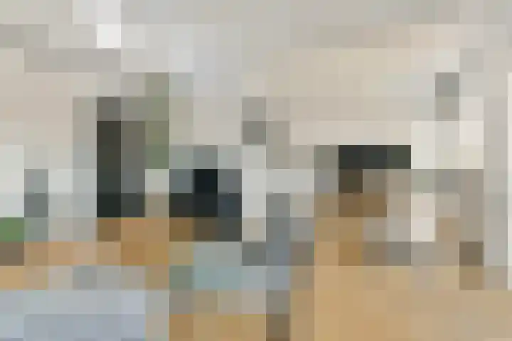 Troelstraplein 8 Leiden thumbnail 4