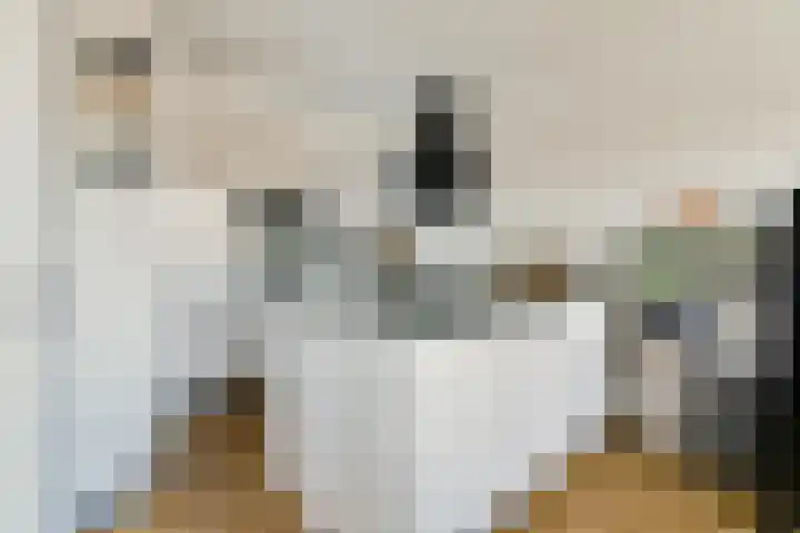 Troelstraplein 8 Leiden thumbnail 6