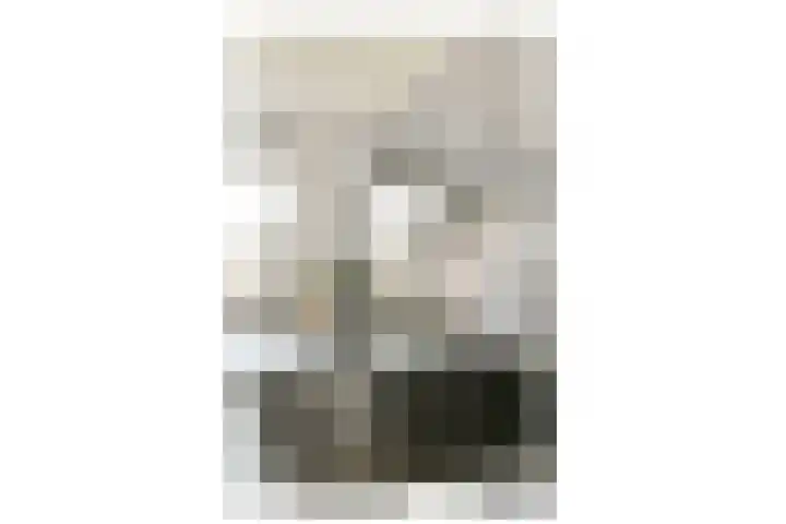 Troelstraplein 8 Leiden thumbnail 7