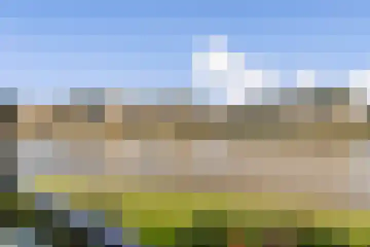 Troelstraplein 8 Leiden thumbnail 9