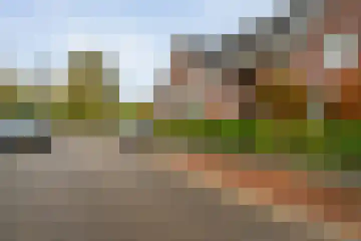 Troelstraplein 80 Meppel thumbnail 9