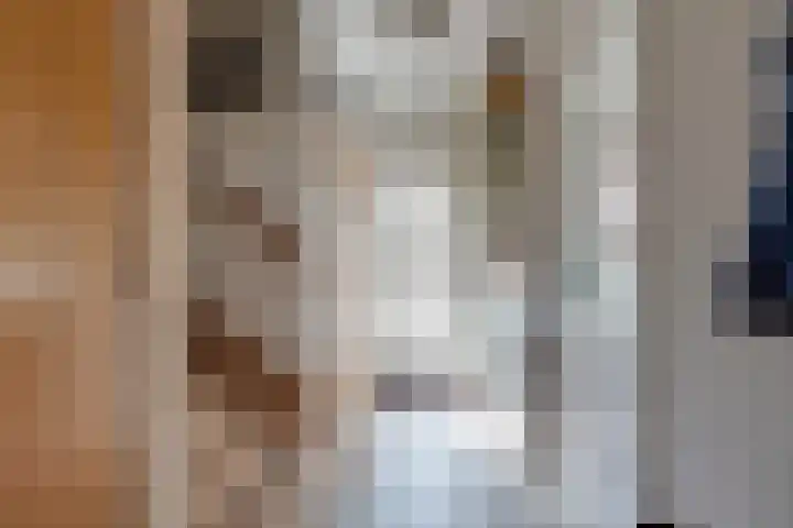 Troelstrarondweg 16 Doetinchem thumbnail 27