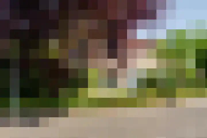 Troelstrarondweg 16 Doetinchem thumbnail 4