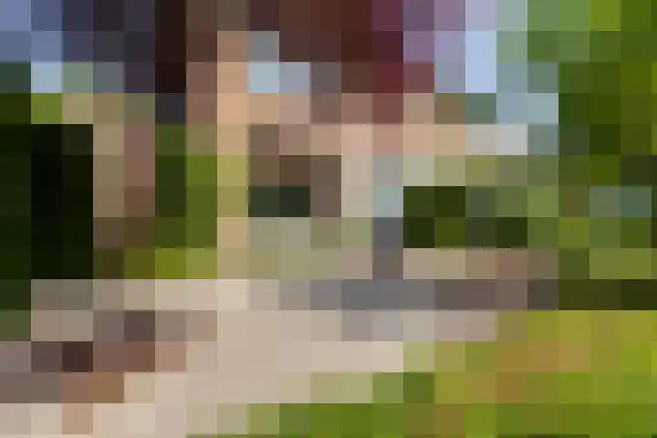 Troelstrarondweg 16 Doetinchem thumbnail 5