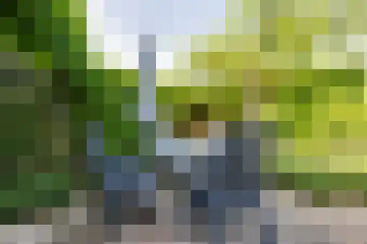 Troelstrarondweg 16 Doetinchem thumbnail 52