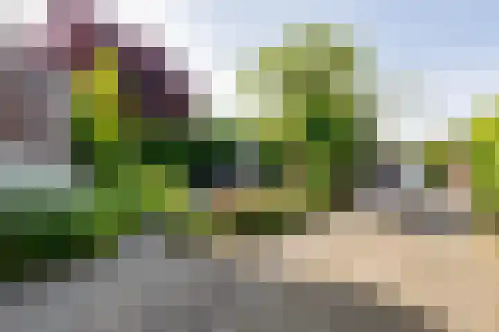 Troelstrarondweg 16 Doetinchem thumbnail 55