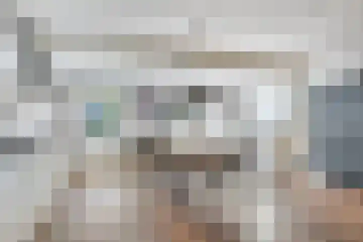Troelstrastraat 12 Epe thumbnail 12