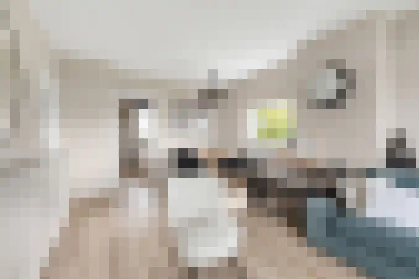 Troelstrastraat 12 Maarssen thumbnail 8
