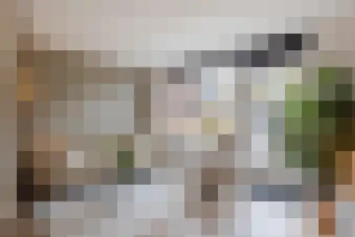 Troelstrastraat 15 Hardinxveld-Giessendam thumbnail 5