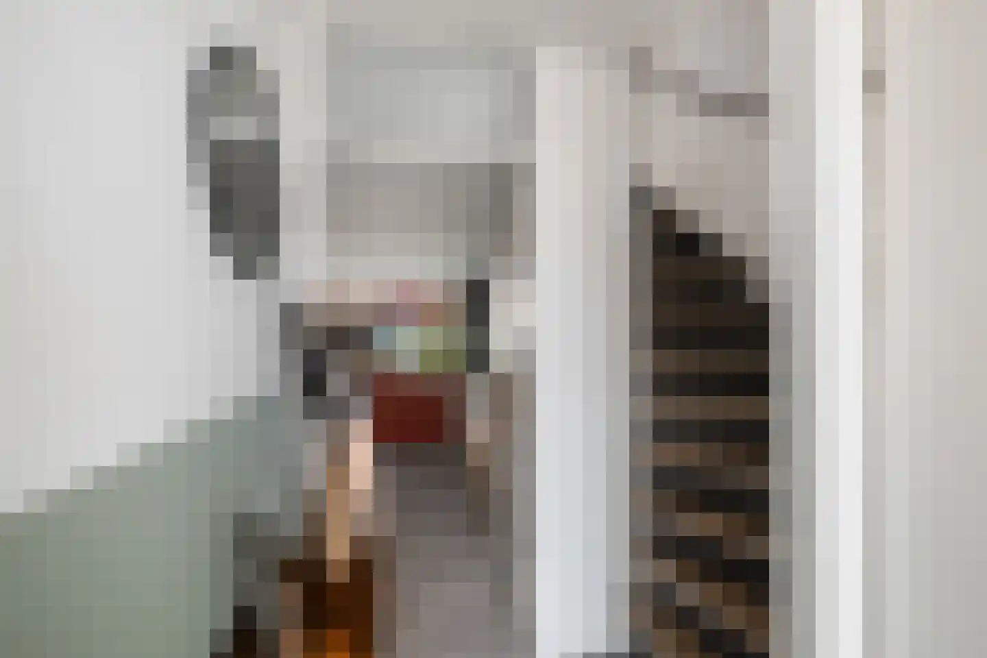Troelstrastraat 15 Naaldwijk thumbnail 16