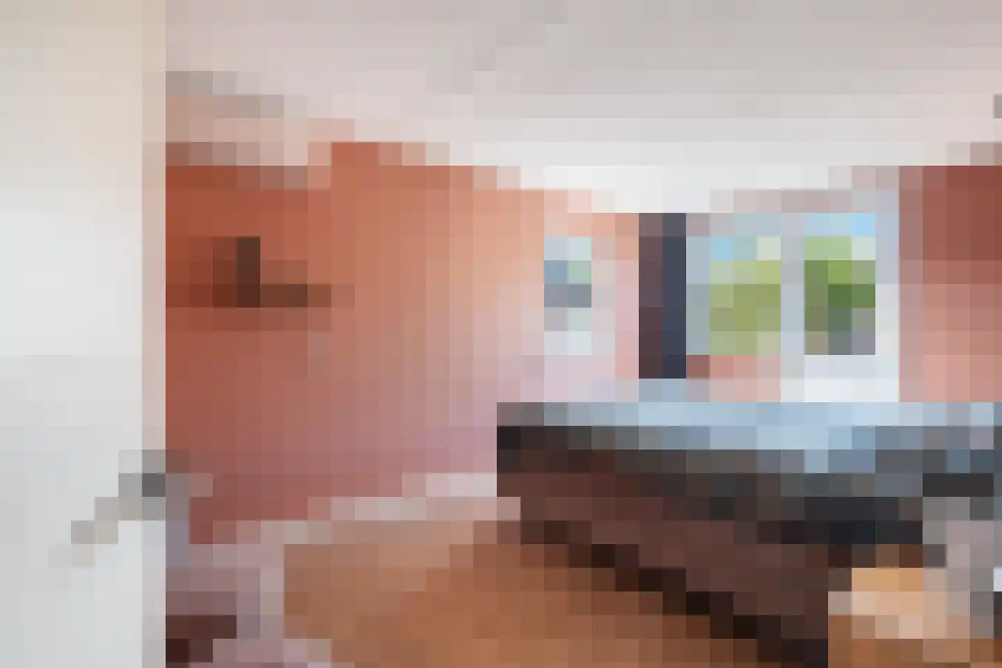 Troelstrastraat 15 Naaldwijk thumbnail 18